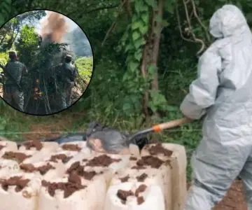 Hallan siete laboratorios clandestinos y un plantío en Sinaloa