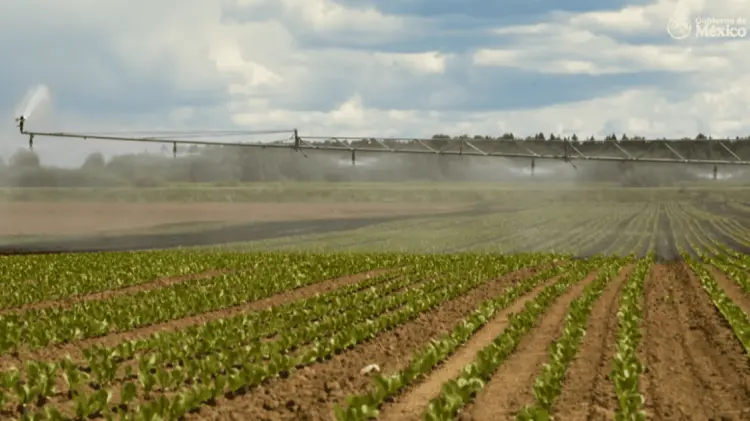 Ya han iniciado en 6 distritos de riego el proceso de modernización de infraestructura agrícola