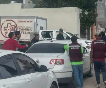 Descubren rastro clandestino de perros en Nogales; rescatan a 54 canes