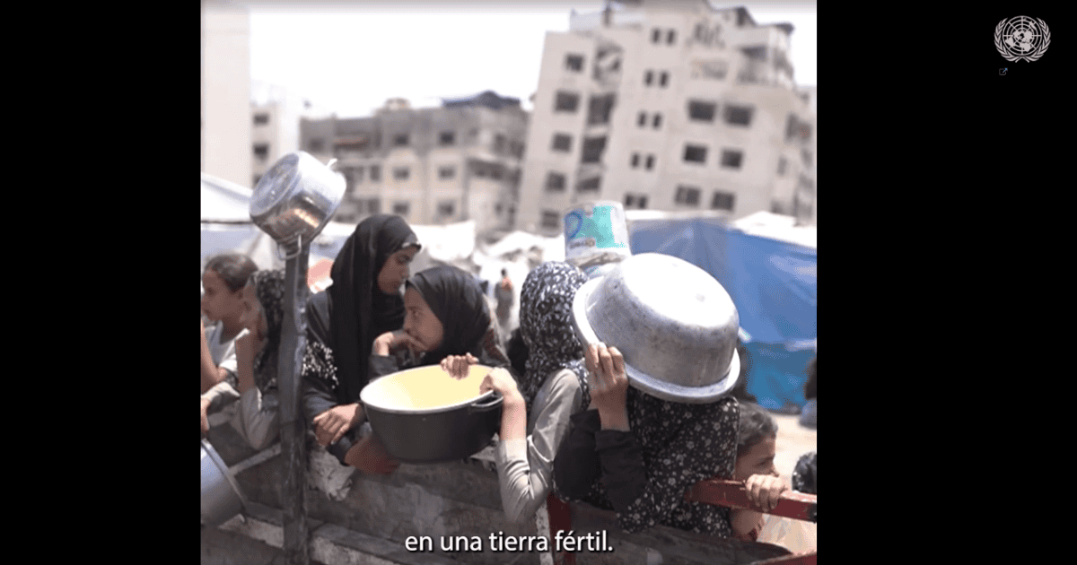 ONU declara hambruna en Gaza y solicita apertura de fronteras