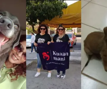 Kuaan Mani: Un refugio para perros que no tienen hogar