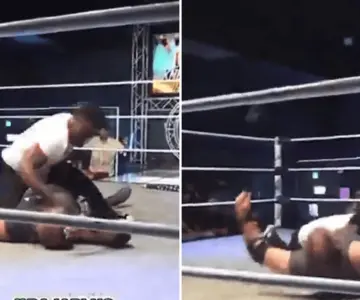 Hijo de leyenda de la UFC golpea brutalmente a su rival; lo deja inconsciente