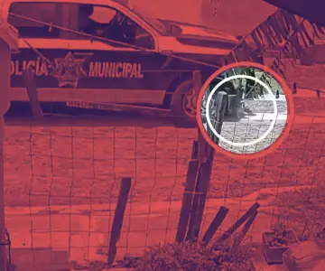 Patrulla atropella a dos perros en Querétaro