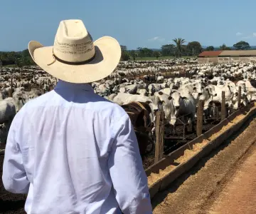 Prevé Sheinbaum que entrega de créditos a ganaderos sea la próxima semana