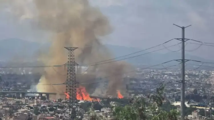 Imagen tomada de redes. (Especial/EXPRESO)