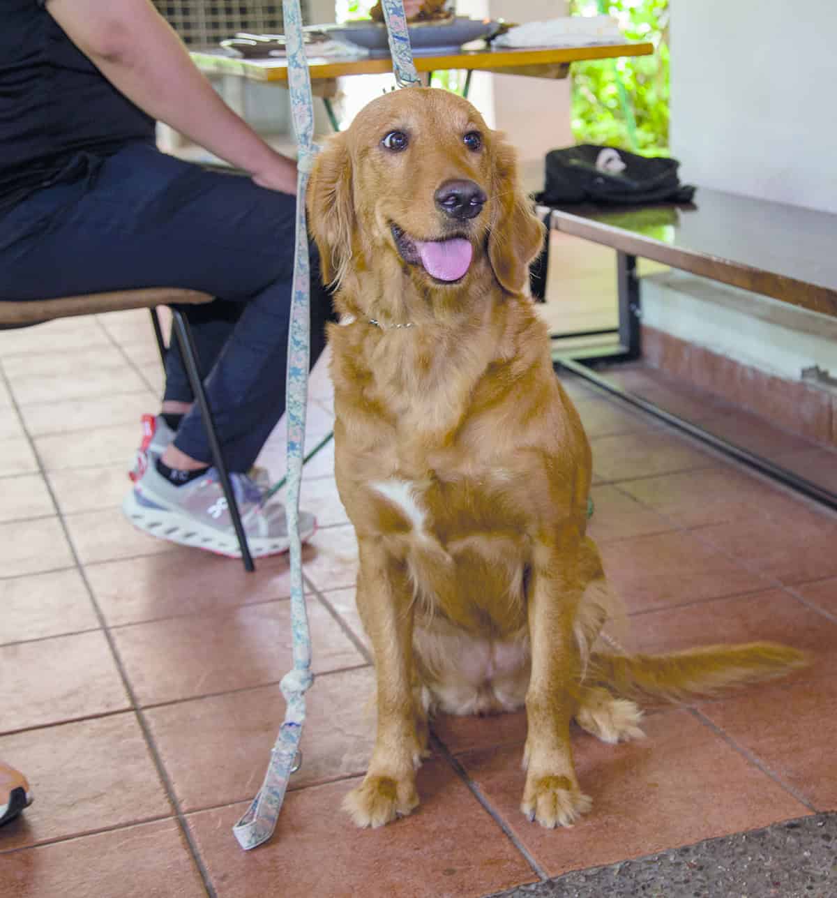 Viven la plenitud de la convivencia en Onza Restaurante