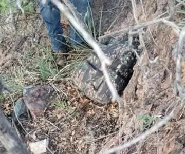 Patrulla Fronteriza decomisa mochila con 20 libras de metanfetamina