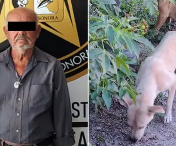 Vinculan a proceso a adulto mayor por maltrato animal en Navojoa