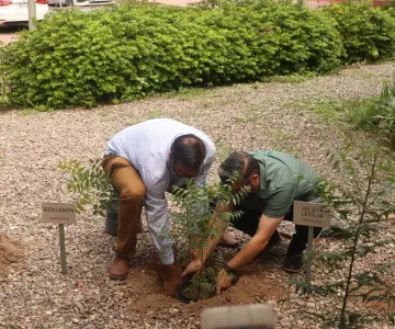 Hospital CIMA reconoce a familias donantes de órganos