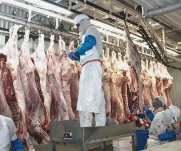 Carne de res alcanza los 214 pesos por kilo en septiembre