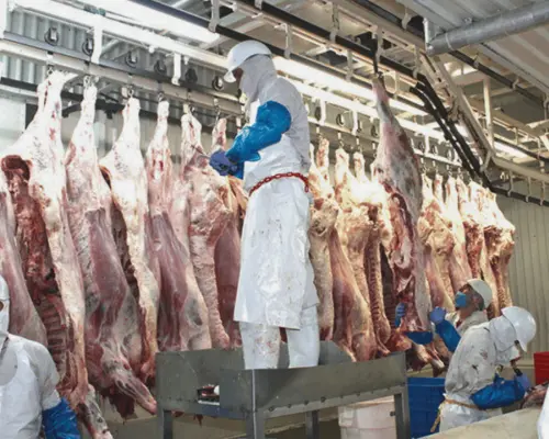 Carne de res alcanza los 214 pesos por kilo en septiembre