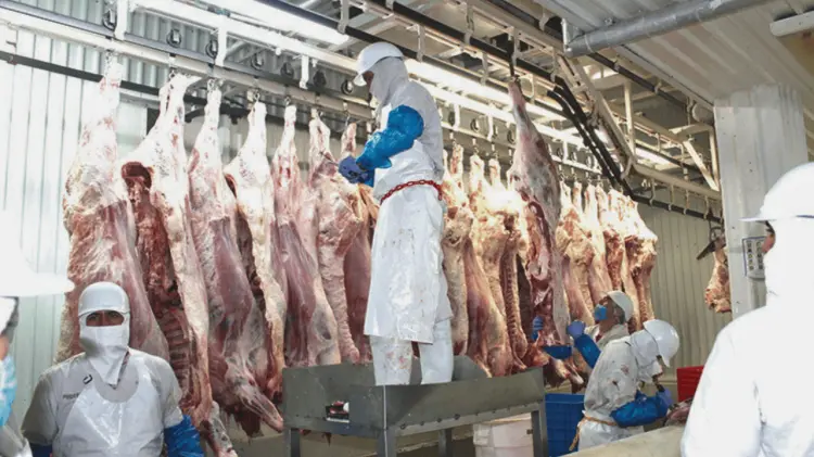 El kilo de res alcanza 214 pesos por sequía y alta demanda. (Foto: Cortesía)