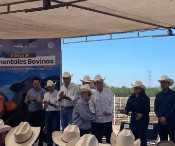 Durazo entrega 70 sementales bovinos para impulsar la ganadería en Sonora