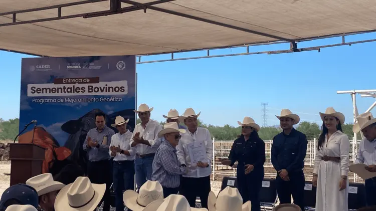 Durazo entrega sementales bovinos para modernizar ganadería (Foto: Fátima Parra /EXPRESO)