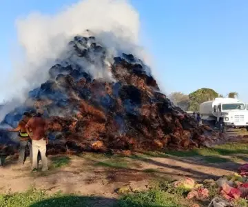 Incendio consume 10 mil pacas de pastura en Bacame Viejo, Etchojoa
