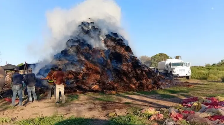 Bomberos controlaron incendio en Bacame Viejo.