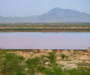Convertirán en bosque terrenos de presa Abelardo L. Rodríguez: Durazo