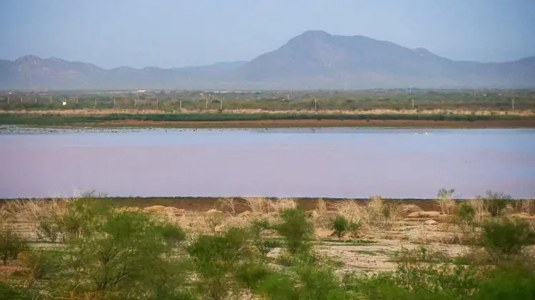Presa Abelardo L. Rodríguez tras primeras lluvias fuertes en Sonora. (Foto: Cristian Ruiz / EXPRESO)
