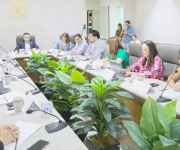 Congreso de Sonora analiza reforma para simplificar adopción