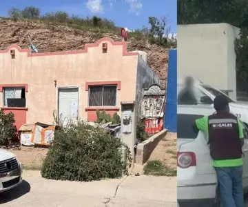 Investigan caso de más de 50 perros rescatados en un domicilio de Nogales