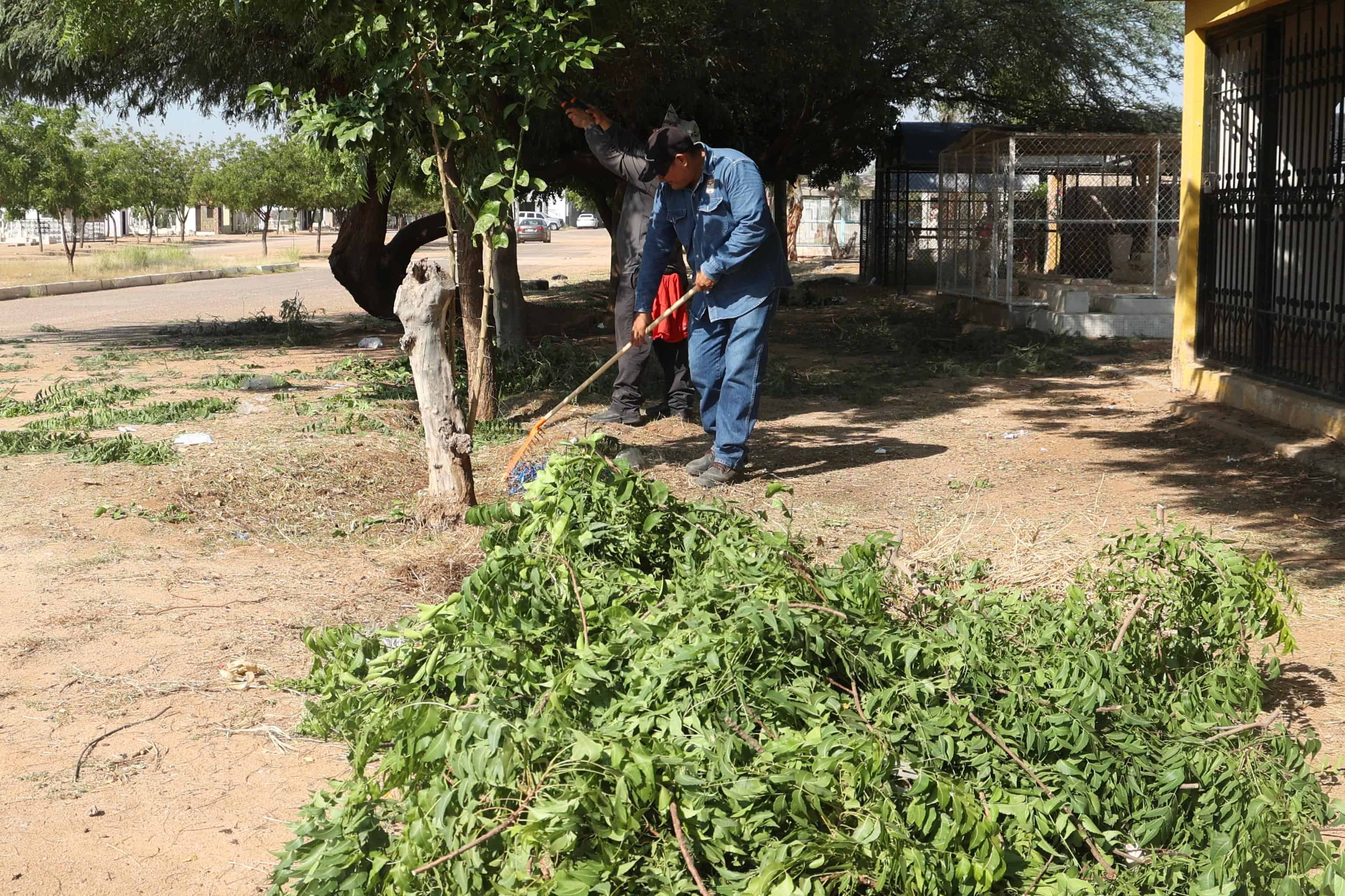 Galería | Realizan labores de mantenimiento en el panteón del Sahuaro