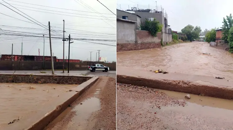 Servicios Públicos avanza en limpieza del arroyo Los Nogales (Foto: Karyna Vierya / EXPRESO)