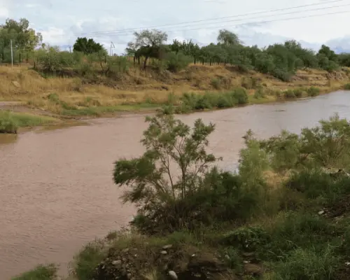 Lluvias en Sonora dejan acumulados en distintas regiones
