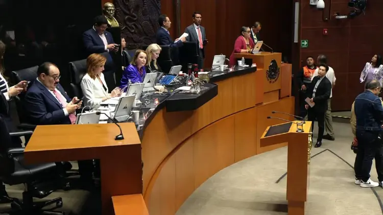 Sesión de la Cámara de Senadores. (Foto: Especial / EXPRESO)
