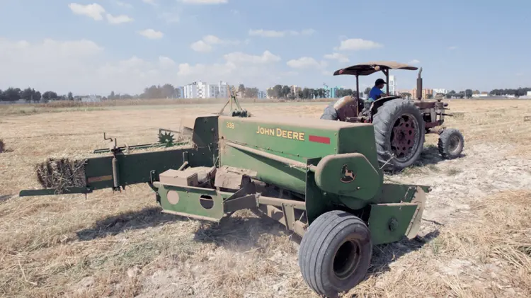 La sequía severa en algunas partes del país afectó la producción agrícola. (Cortesía)