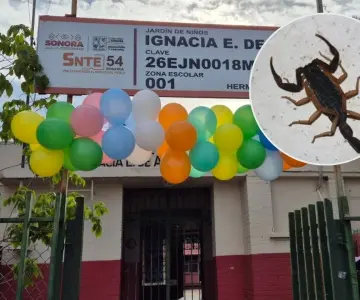 Tragedia en Hermosillo: niña muere por picadura de alacrán en preescolar
