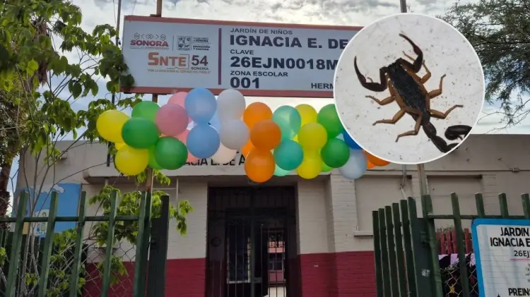 La menor fue trasladada al hospital pero perdió la vida. (Foto: Especial / EXPRESO)