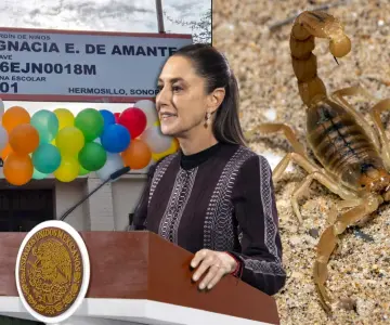 Sheinbaum instruyó analizar falta de suero antialacrán en IMSS Hermosillo