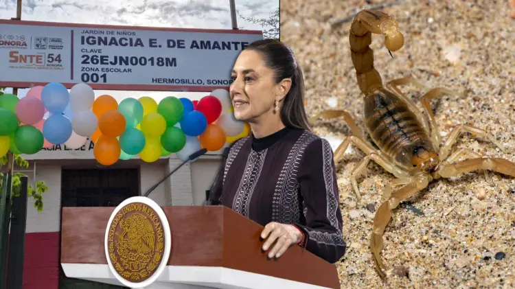 El IMSS reconoció que el hospital no contaba con suero antialacrán (Foto: Especial / EXPRESO)