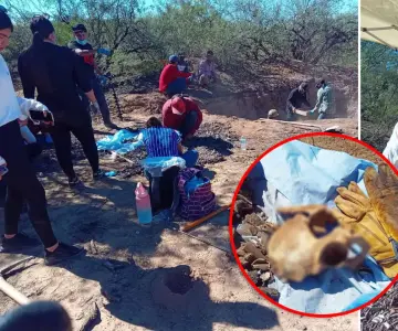 Buscadoras hallan restos de al menos 6 personas en Magdalena de Kino