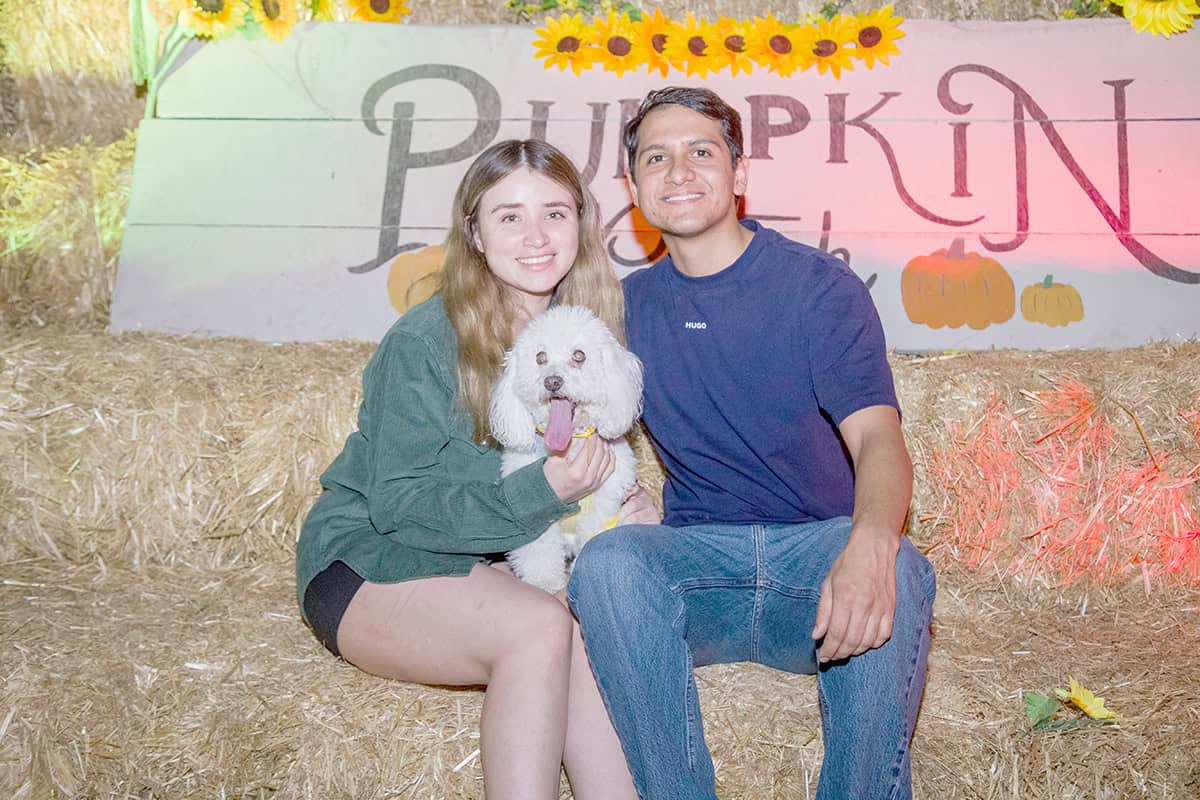 Diseñan calabazas para celebrar los días embrujados en Parque la Ruina