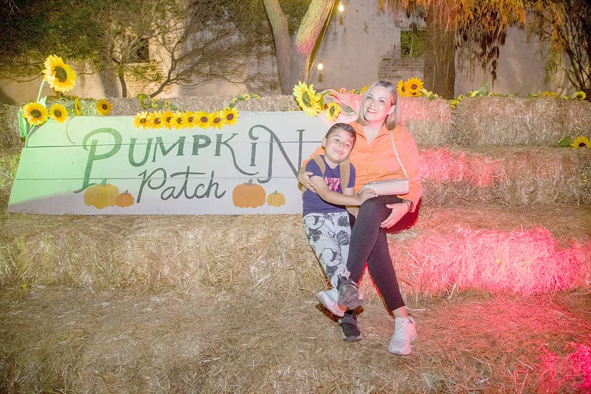 Diseñan calabazas para celebrar los días embrujados en Parque la Ruina
