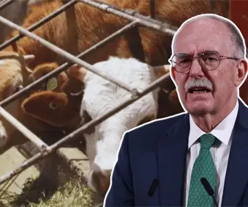 Aún no hay fecha para reapertura a la exportación de ganado: Sader Aún no hay fecha para reapertura a la exportación de ganado: Sader