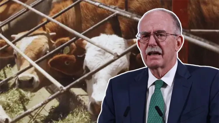 La Secretaría mexicano no ve fecha para la reapertura fronteriza. (Foto: Especial / EXPRESO)