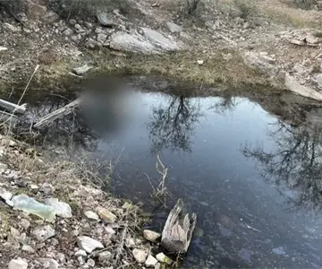 Madres Buscadoras de Nogales encuentran cuerpo en Mascareñas