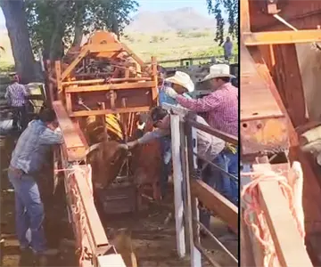 Ganaderos de Santa Cruz buscan alternativas para sobrevivir: las corridas