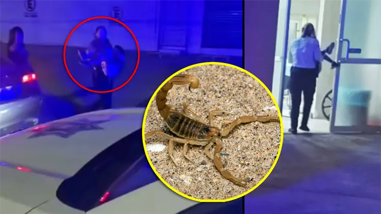 Oficiales trasladaron al menor al IMSS tras ser picado por un alacrán (Foto: Especial / EXPRESO)