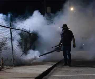 Fumigan más de 154 mil hectáreas contra el dengue en Sonora