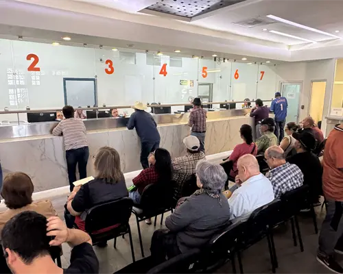 Tesorería de Hermosillo ofrece grandes descuentos por el Buen Fin 2025