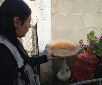 Brigadas de salud intensifican acciones contra dengue en Sonora