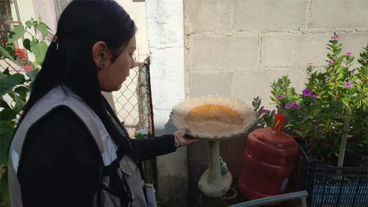 Refuerzan acciones contra el mosquito del dengue. (Especial/EXPRESO)