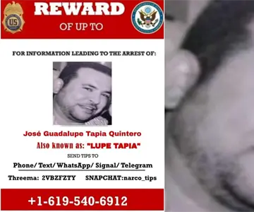 Líder del Cártel de Sinaloa, Lupe Tapia, se declara culpable de narcotráfico