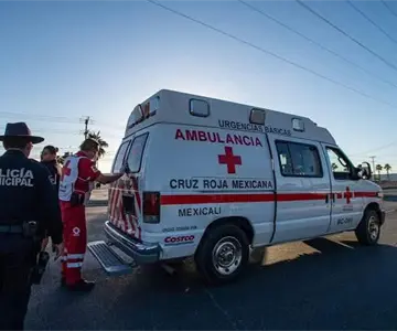 Niña de 2 años se salva tras consumir veneno para ratas que parecía churro Niña de 2 años se salva tras consumir veneno para ratas que parecía churro