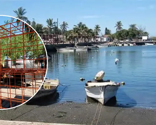 Frenan pesca hasta diciembre por actividad de tiburón en Yavaros