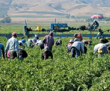 Agricultores de Sonora se desmarcan del paro nacional de este lunes