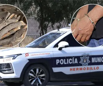Hombre es detenido tras intentar robar troncos de leña en la Nuevo Hermosillo